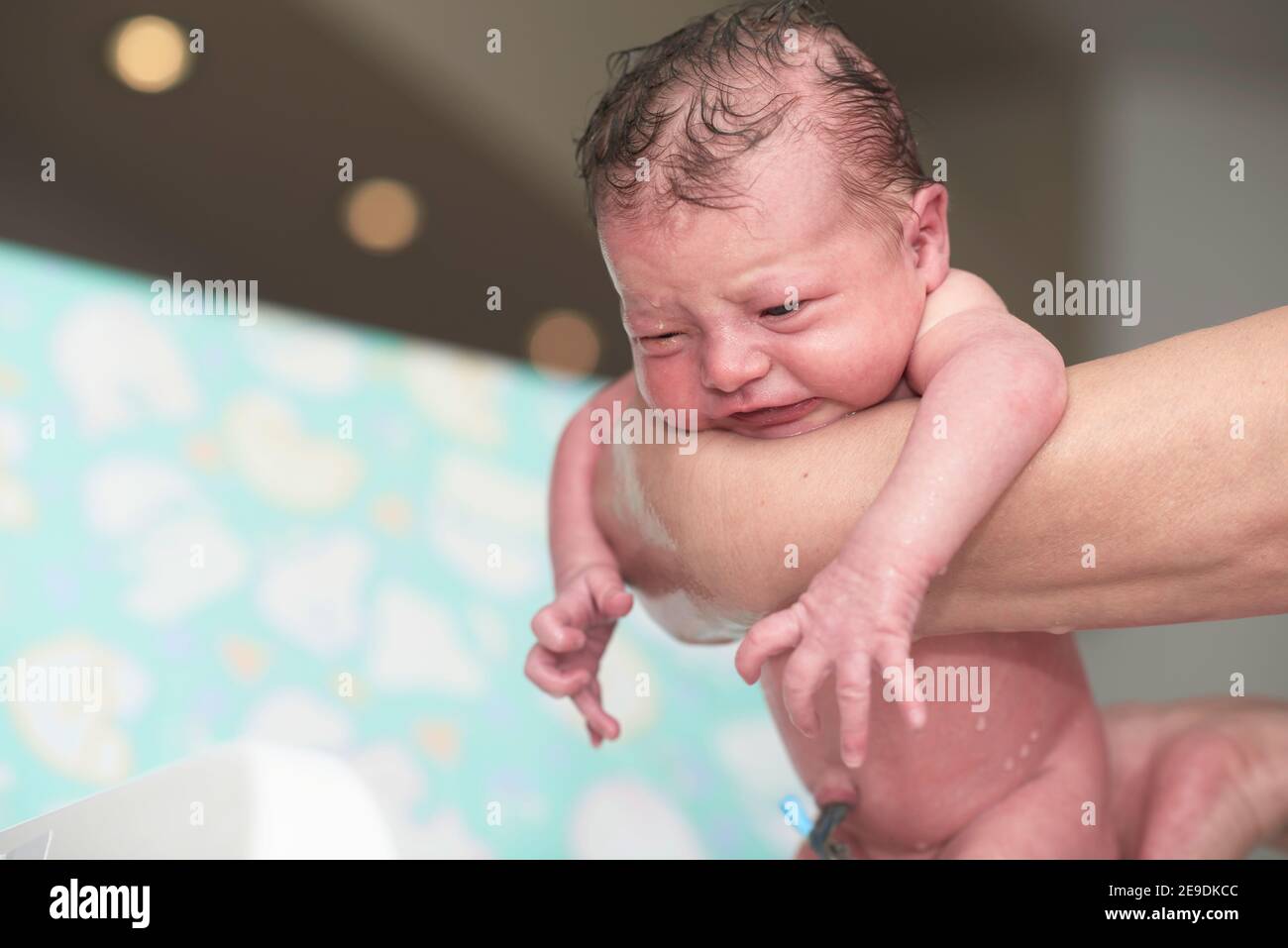 Newborn Baby Girl Taking A First Bath Stock Photo Alamy