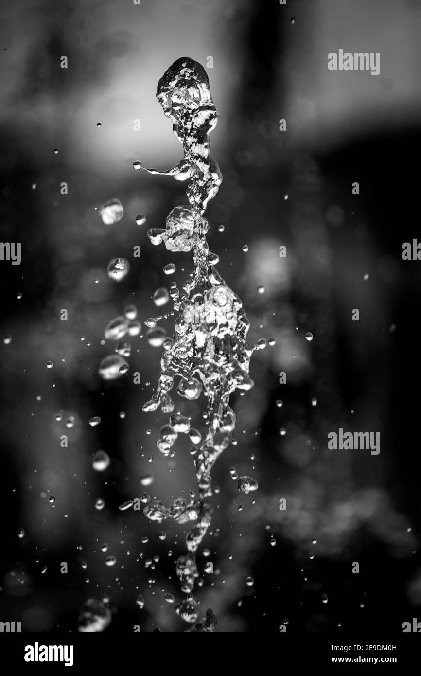 Water liquid splashing on isolated black background. Stock Photo