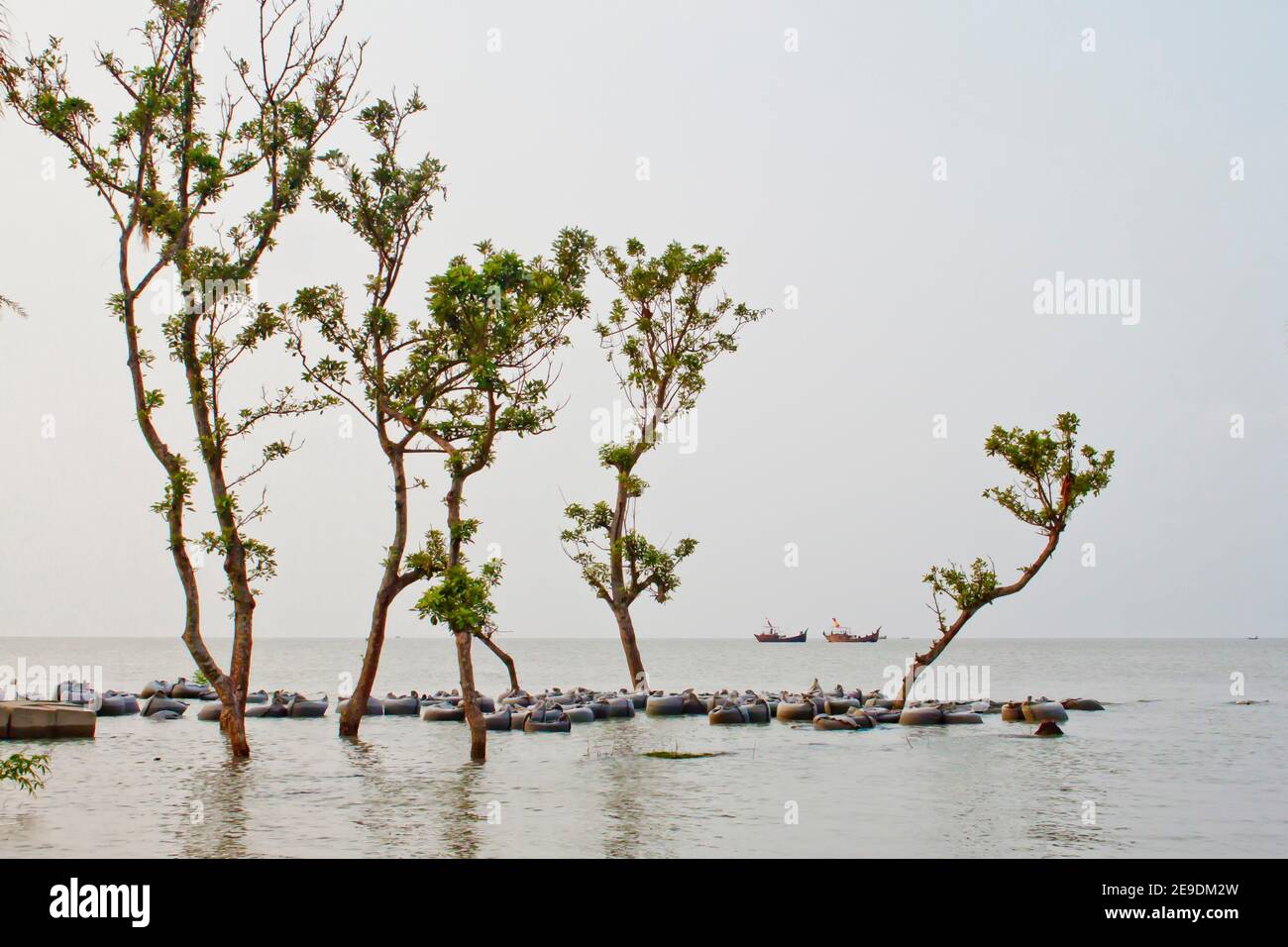 River erosion scenario of coastal belt bay of Bengal. Stock Photo