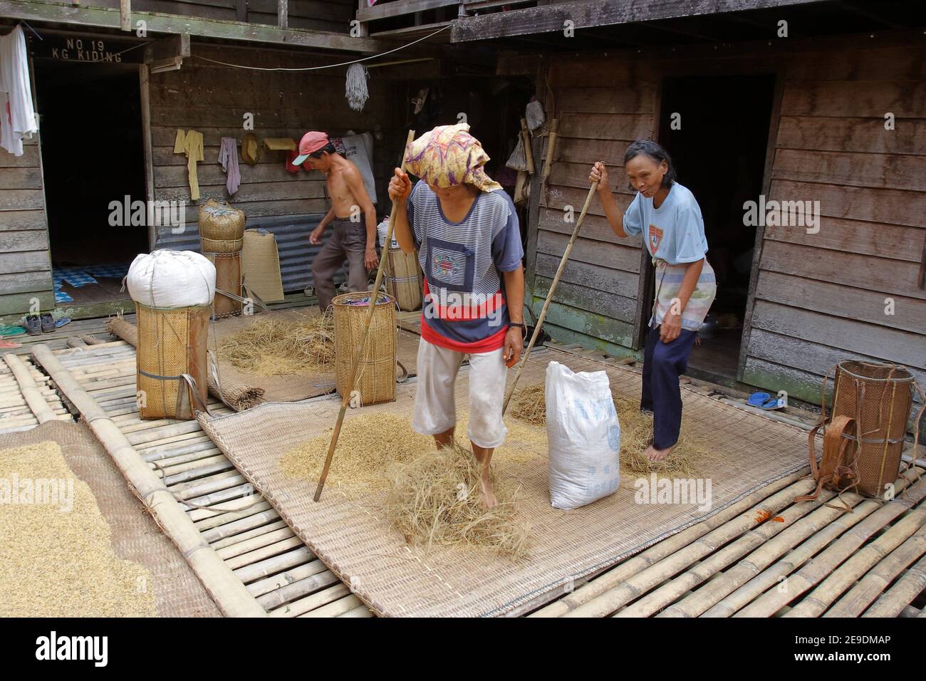 Combine harvester working a rice field hi-res stock photography and ...