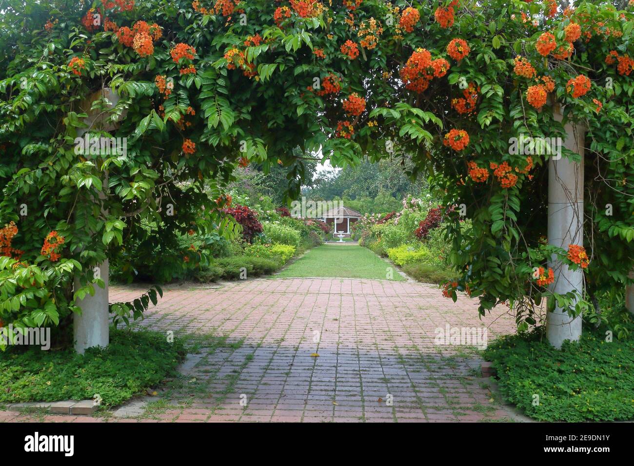 Botanical garden in Penang, Malaysia Stock Photo - Alamy