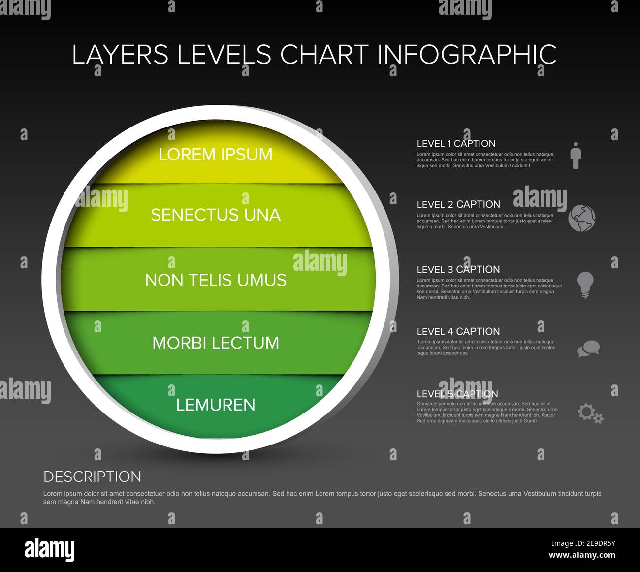 Layers levels infographic template dark green stripped circle