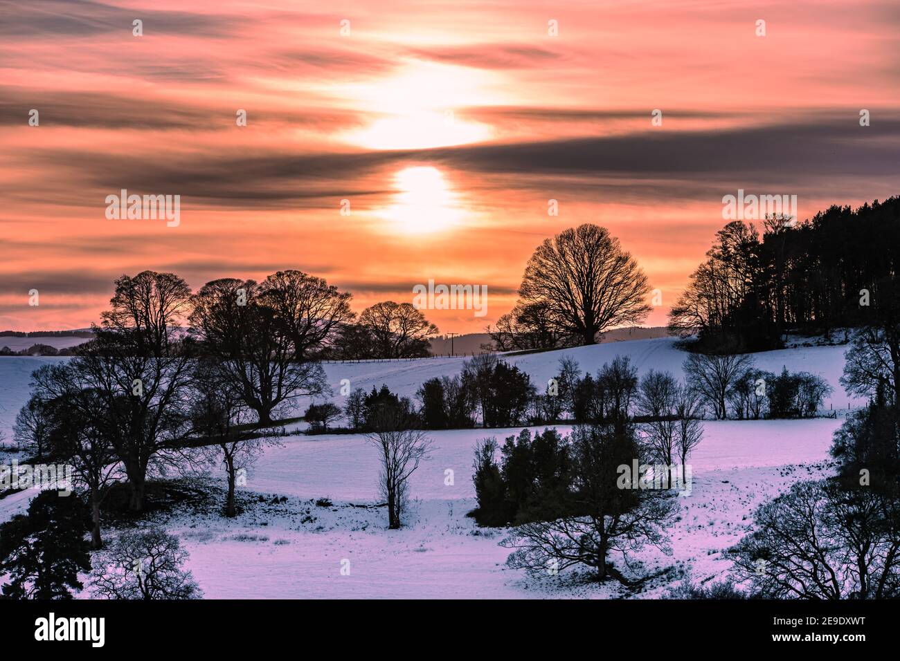 Sunset with trees and snow Stock Photo - Alamy