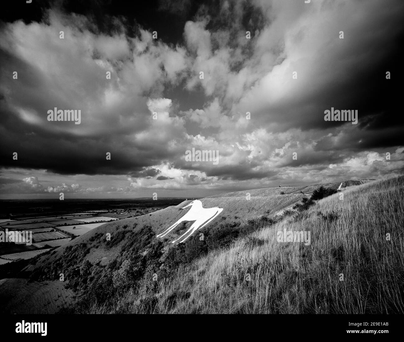 Black and White with dramatic clouds over Chalk White Horse, Westbury, Wiltshire, England, United Kingdom, Europe Stock Photo