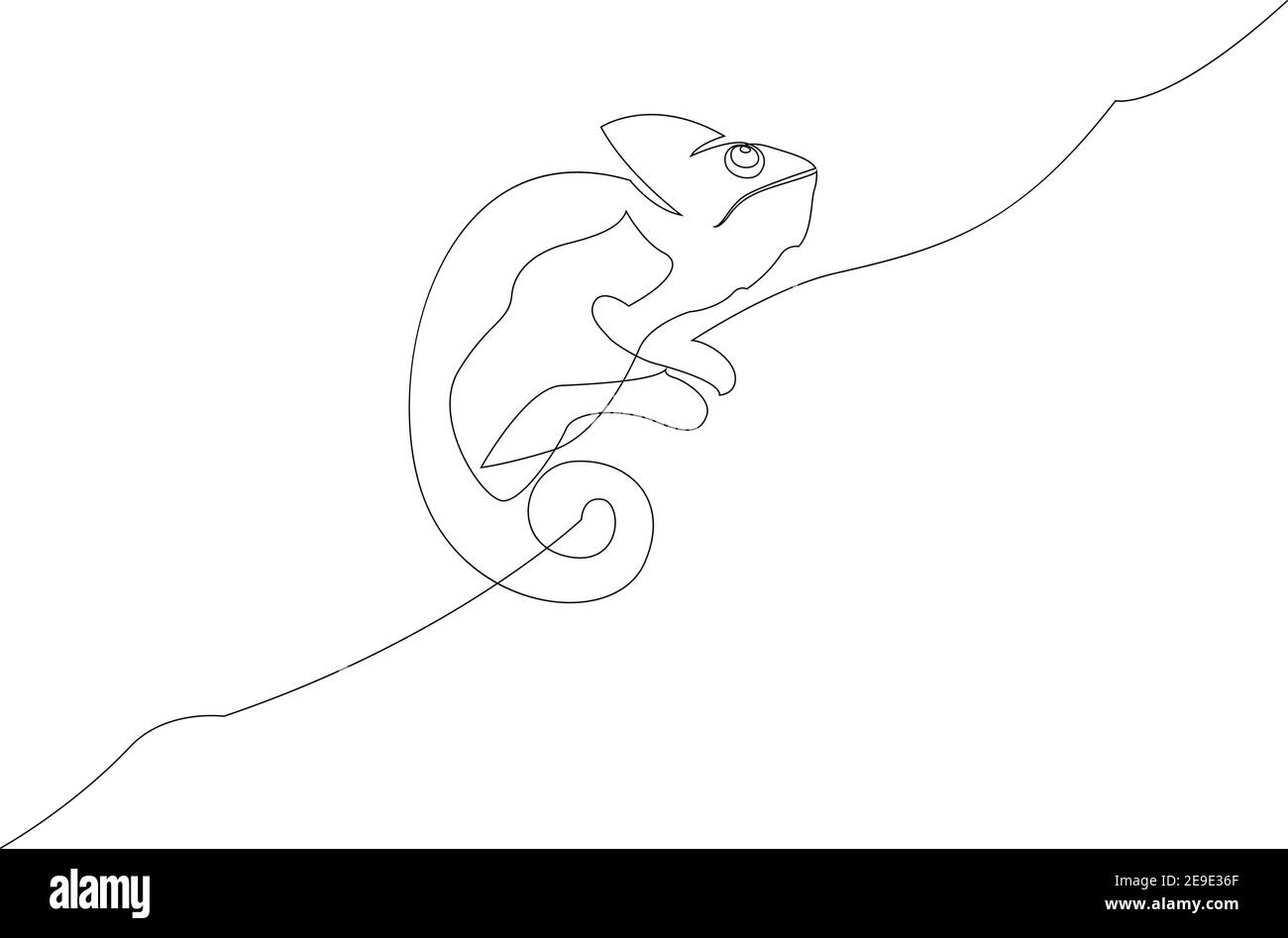 One line drawing of chameleon. Continuous line illustration on white background Stock Vector