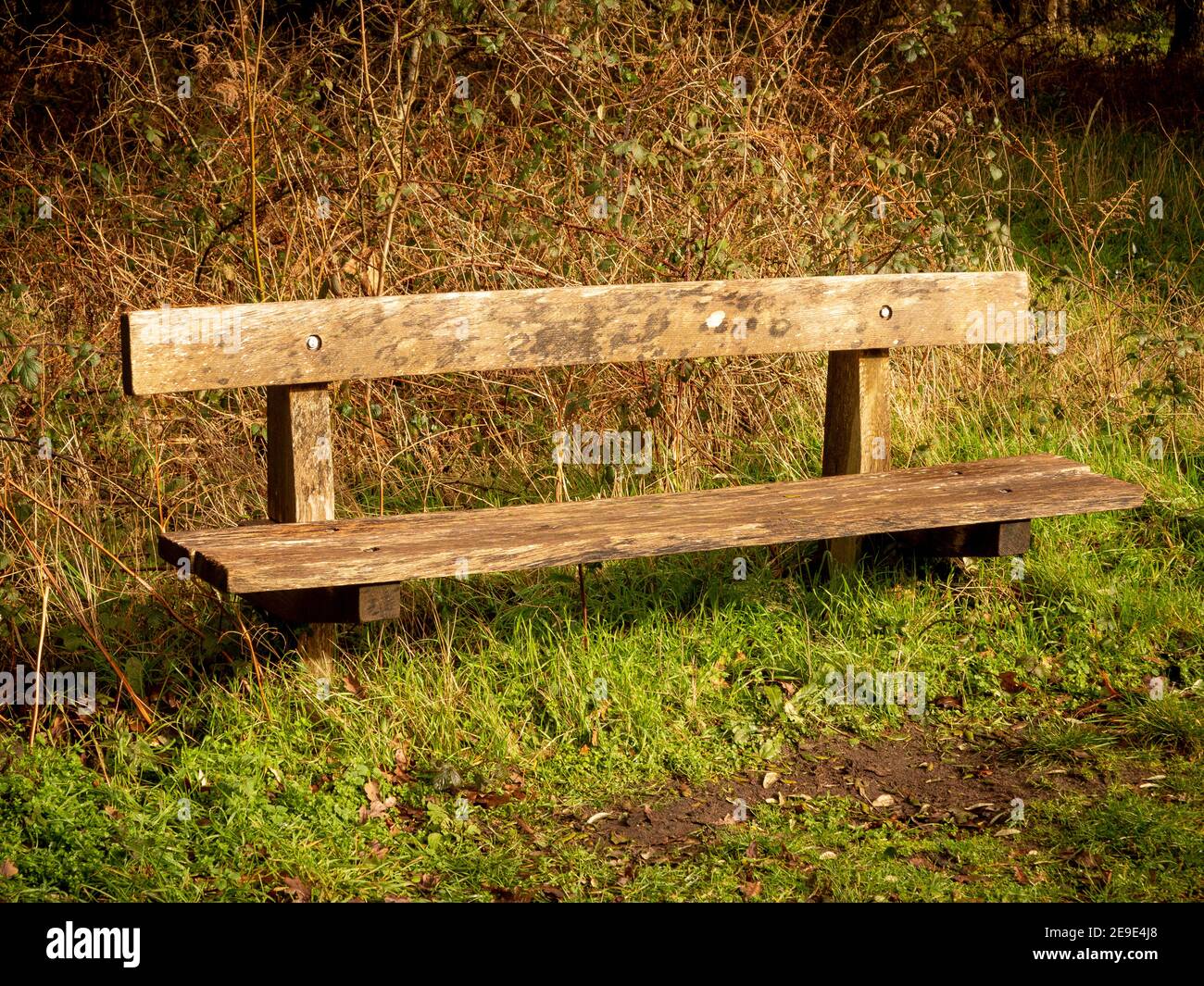 Simple wooden garden bench new arrivals