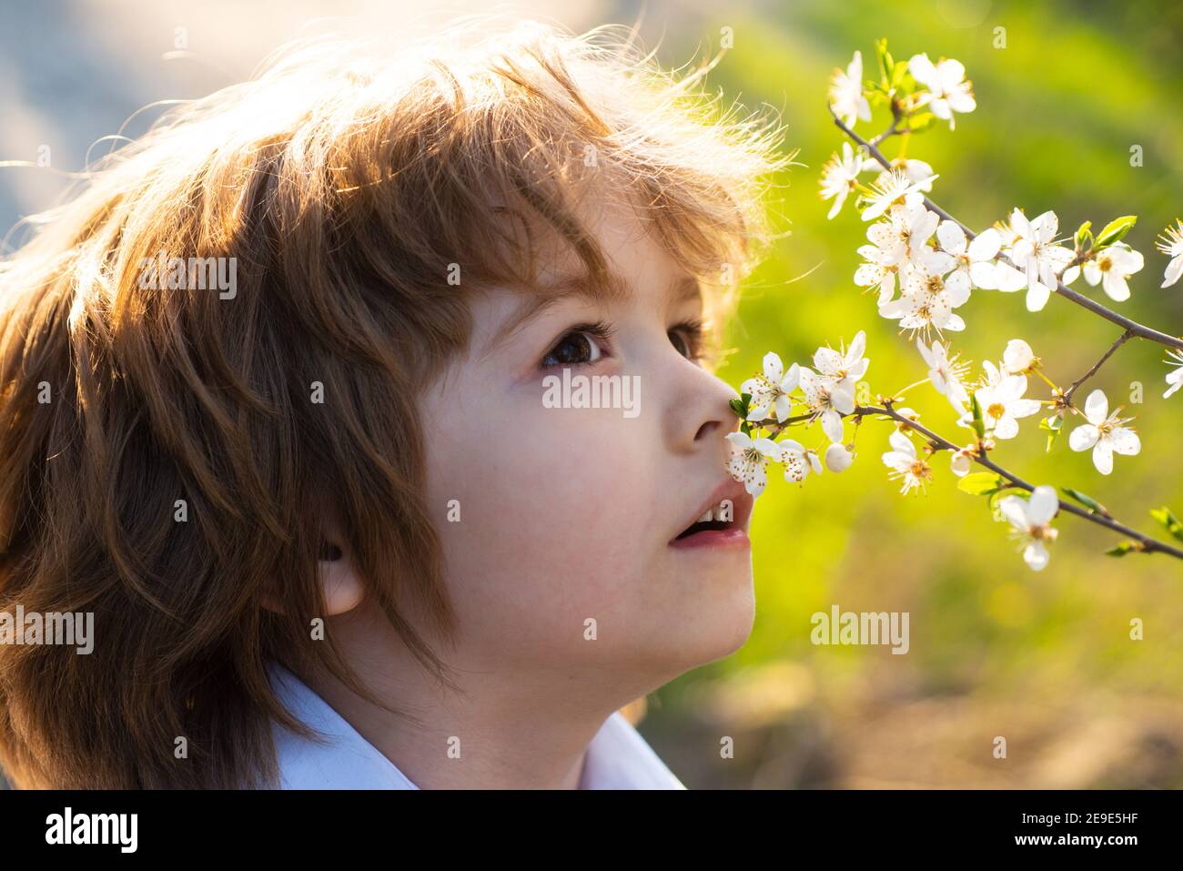 Happy childhood. Spring kid allergie sniffs blooming tree. Cute child in blossom garden. Stock Photo