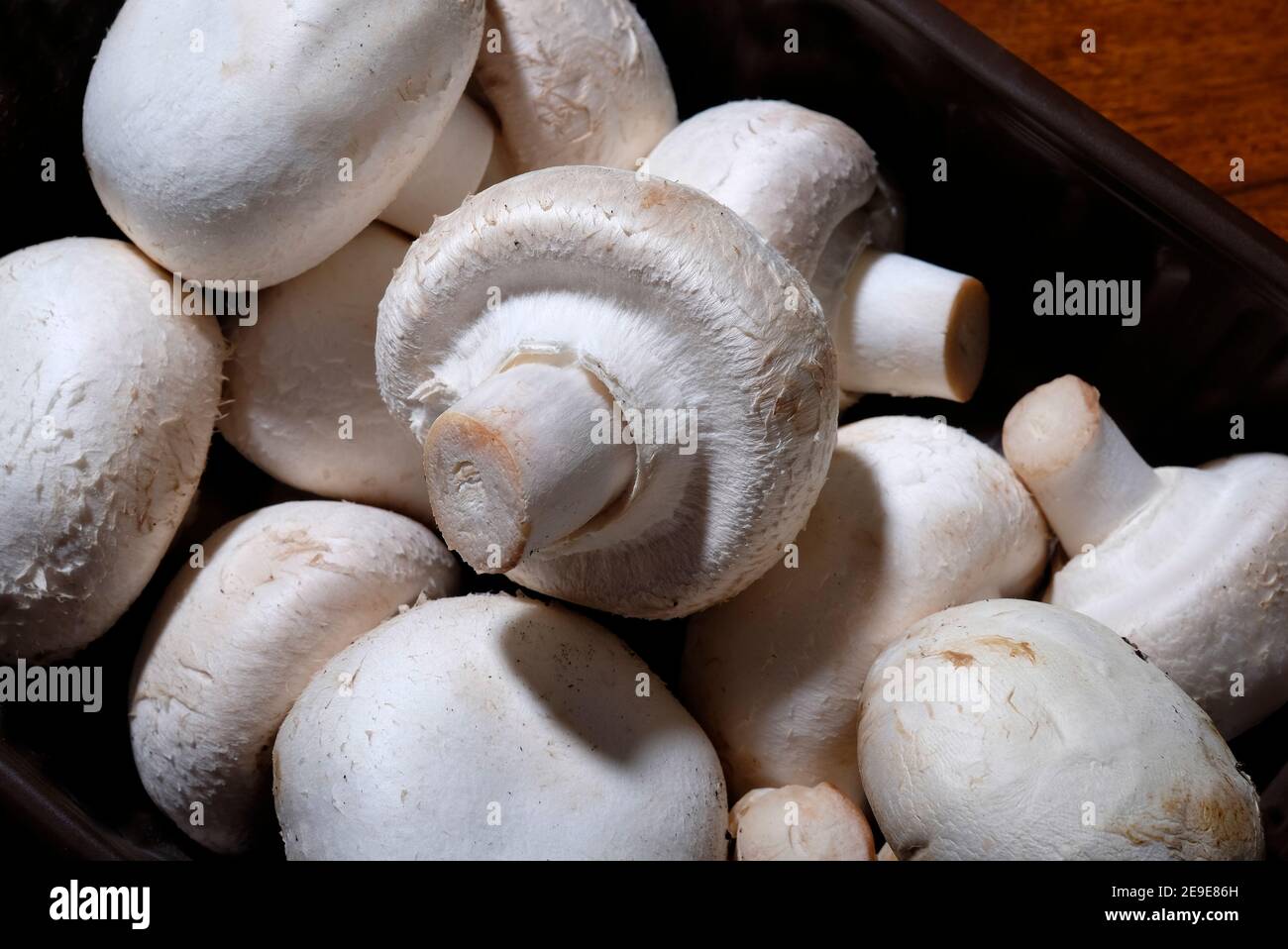 Supermarket mushrooms hi res stock photography and images Alamy