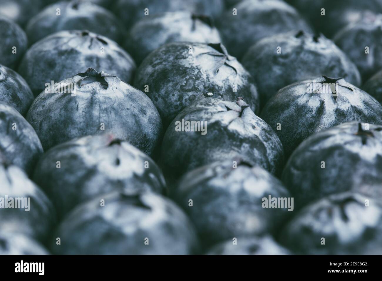 A full frame food fruit background of a close up of fresh, ripe blueberries packed together with copy space Stock Photo