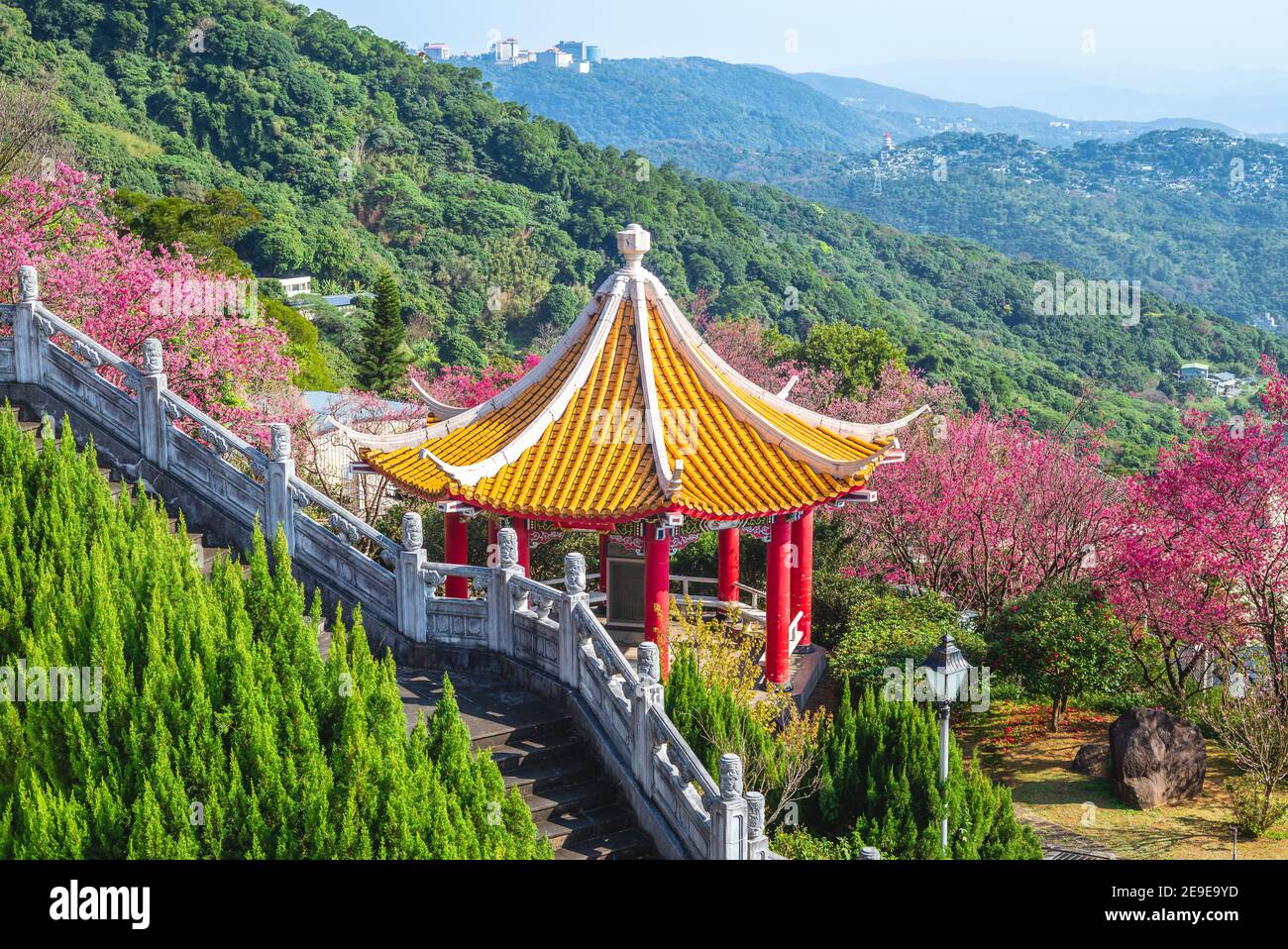 cherry blossom and chinese pavilion near taipei city in taiwan Stock Photo