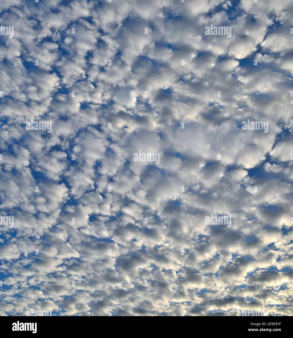 Natural background - white fluffy stratocumulus clouds on blue sky. Texture of unusual cloudy sky in sunny day. Clouds with sunlight illuminated. Mete Stock Photo