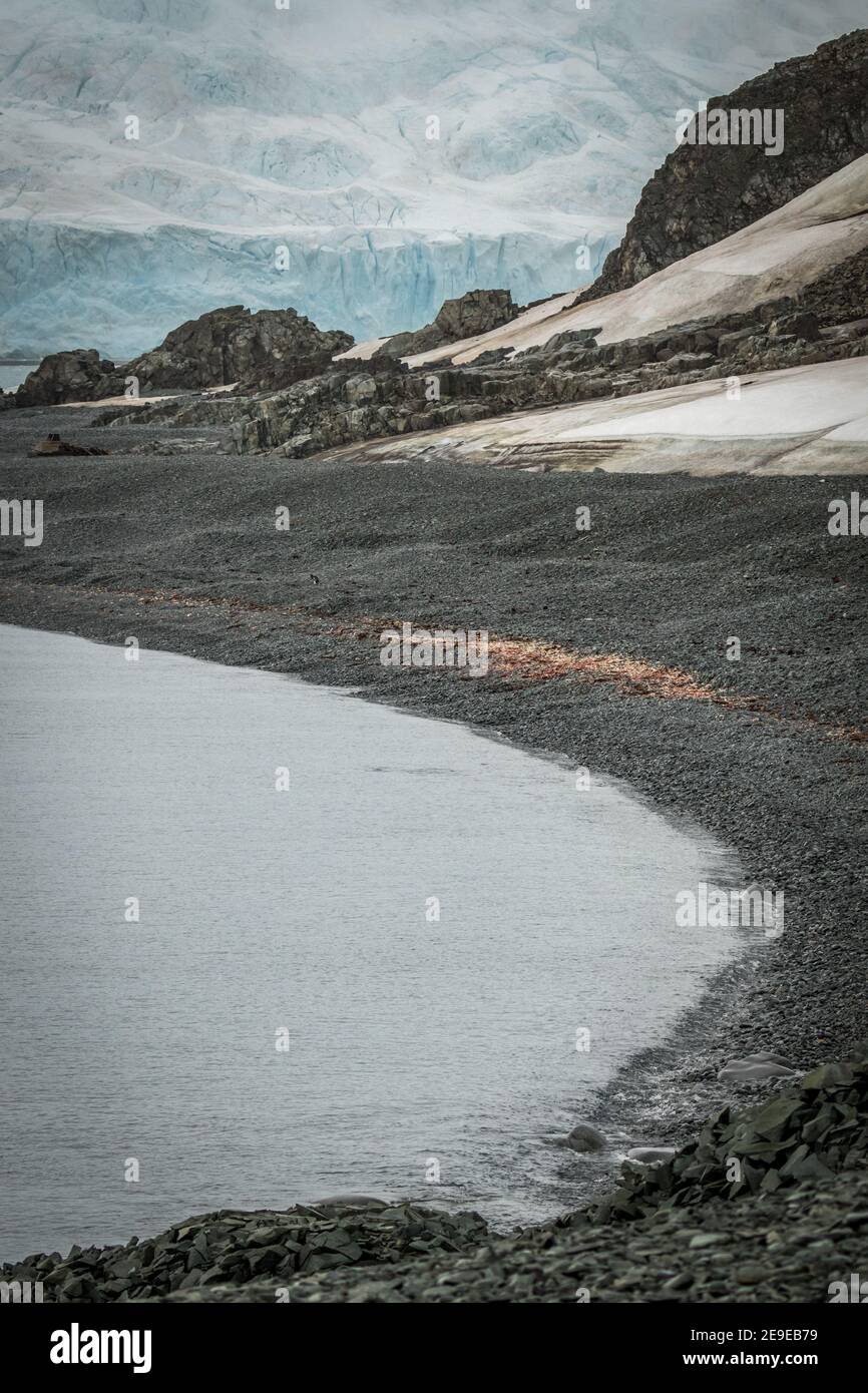 Half Moon Island, Antarctica Stock Photo