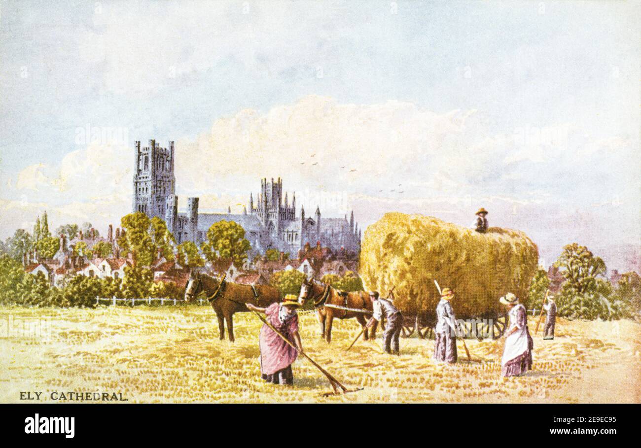 A coloured postcard of Ely Cathedral UK dating from the 1920s. Stock Photo