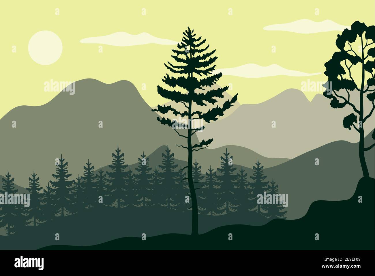 pines trees plants in forest landscape scene vector illustration design ...