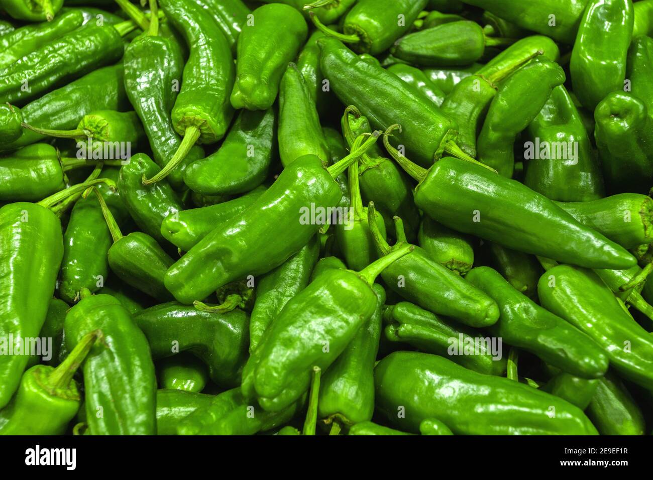 Green peppers at the vegetable market or wholesale food store. Pepper background. Stock Photo