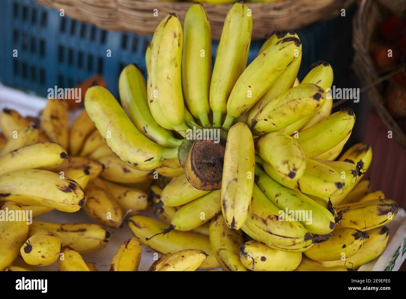 Closeup shot of ripe mini bananas in a market Stock Photo - Alamy