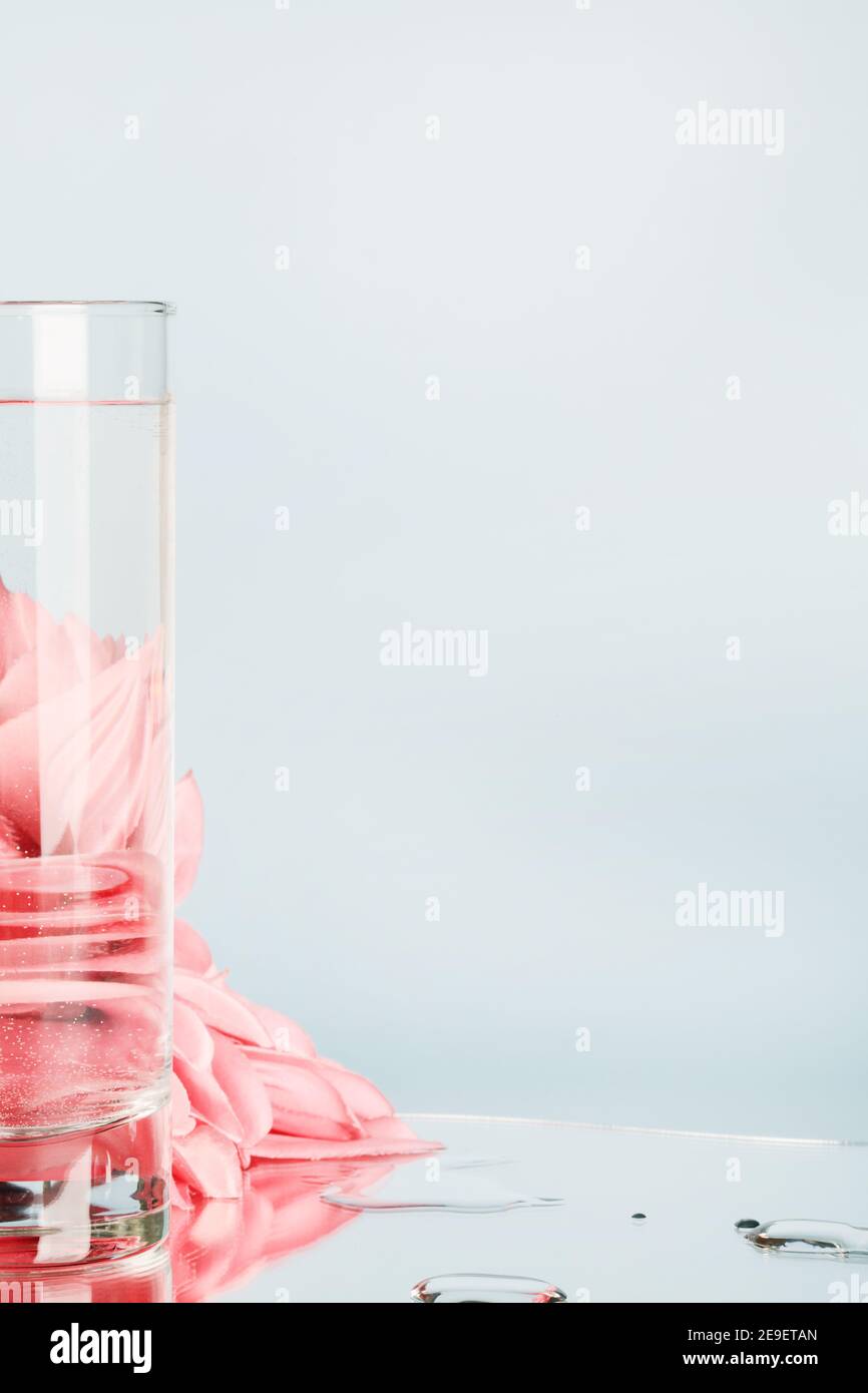pink flowers distorted through water in glass with mirror on blue background. pure water , relax , surreal ,eco-friendly home concept. copy space.  Stock Photo