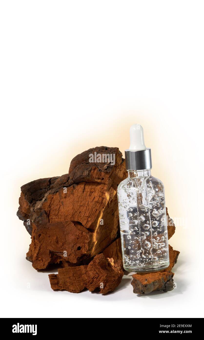 Anti aging serum in a glass bottle on a natural chaga mushroom (Inonotus Obliquus) isolated ona white background with clipping path without shadow. Na Stock Photo