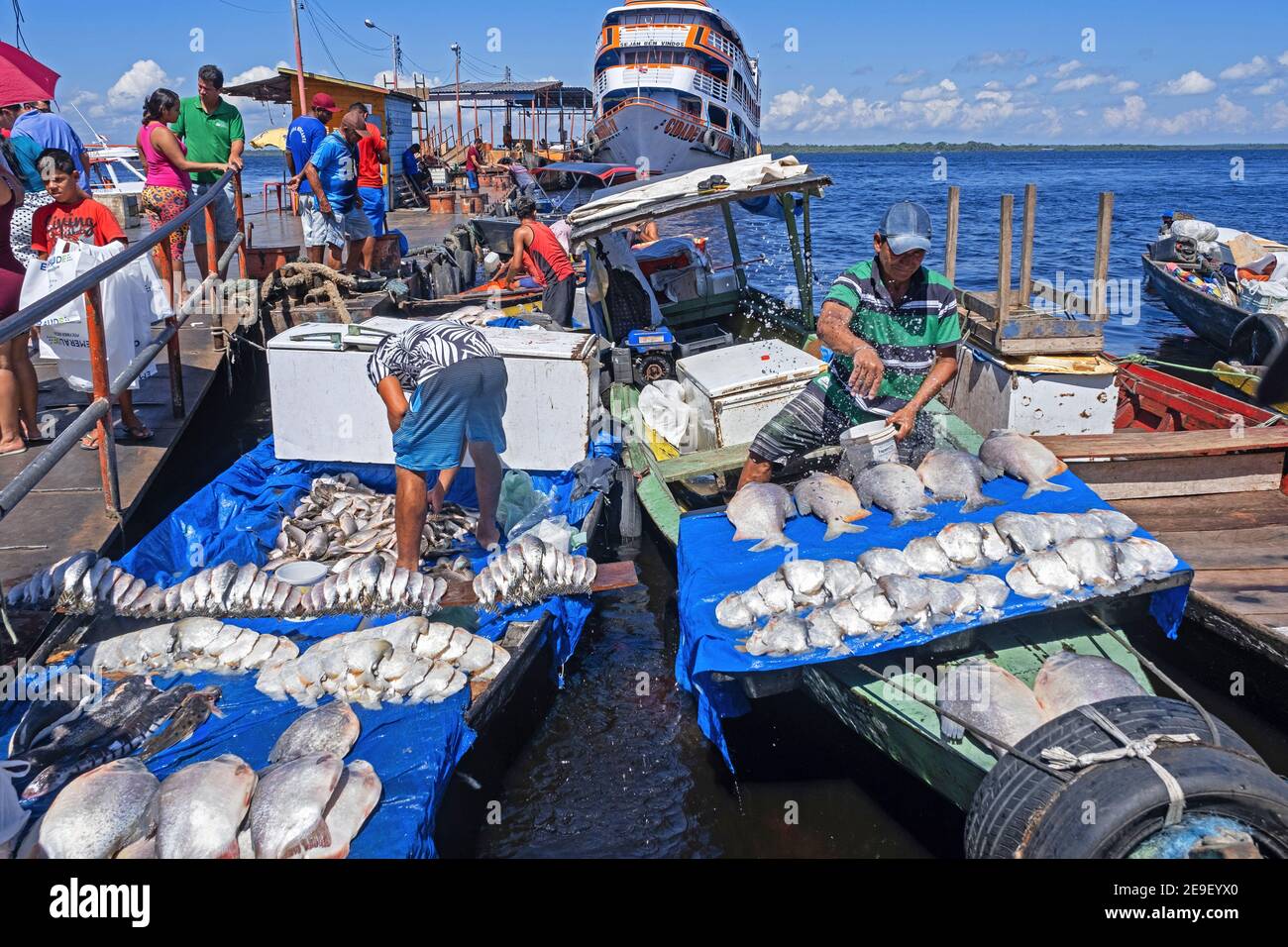 Fishermen selling piranhas and other fishes from fishing boats in the harbour / port on the Rio Negro at Manaus, Amazonas, Brazil Stock Photo