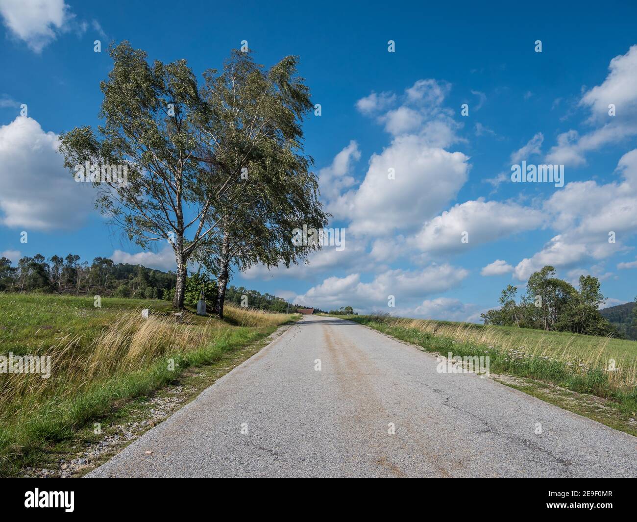 Field path and tree hi-res stock photography and images - Alamy