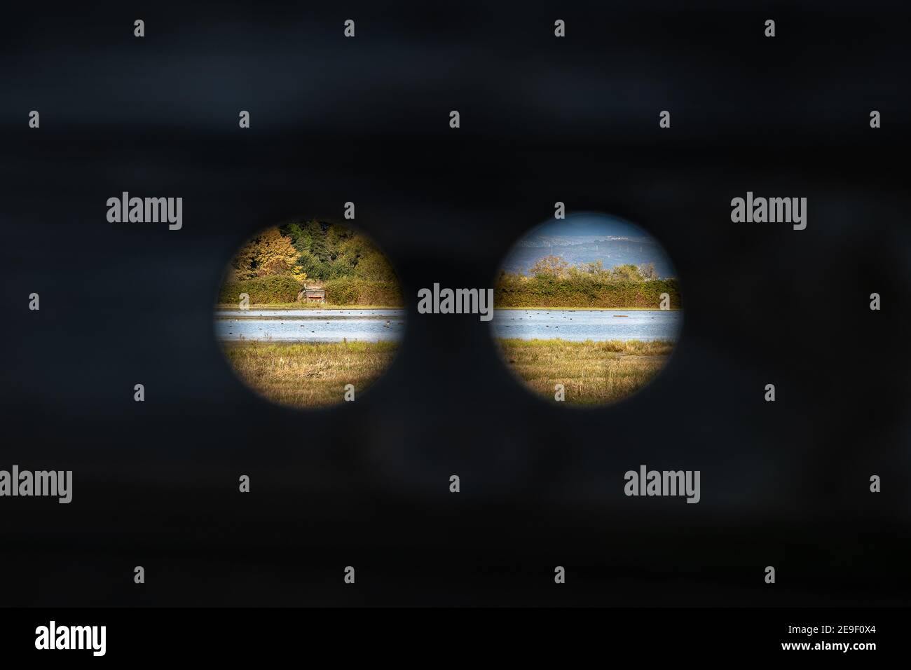 Observation points within a nature reserve that allows you to observe various animal species Stock Photo