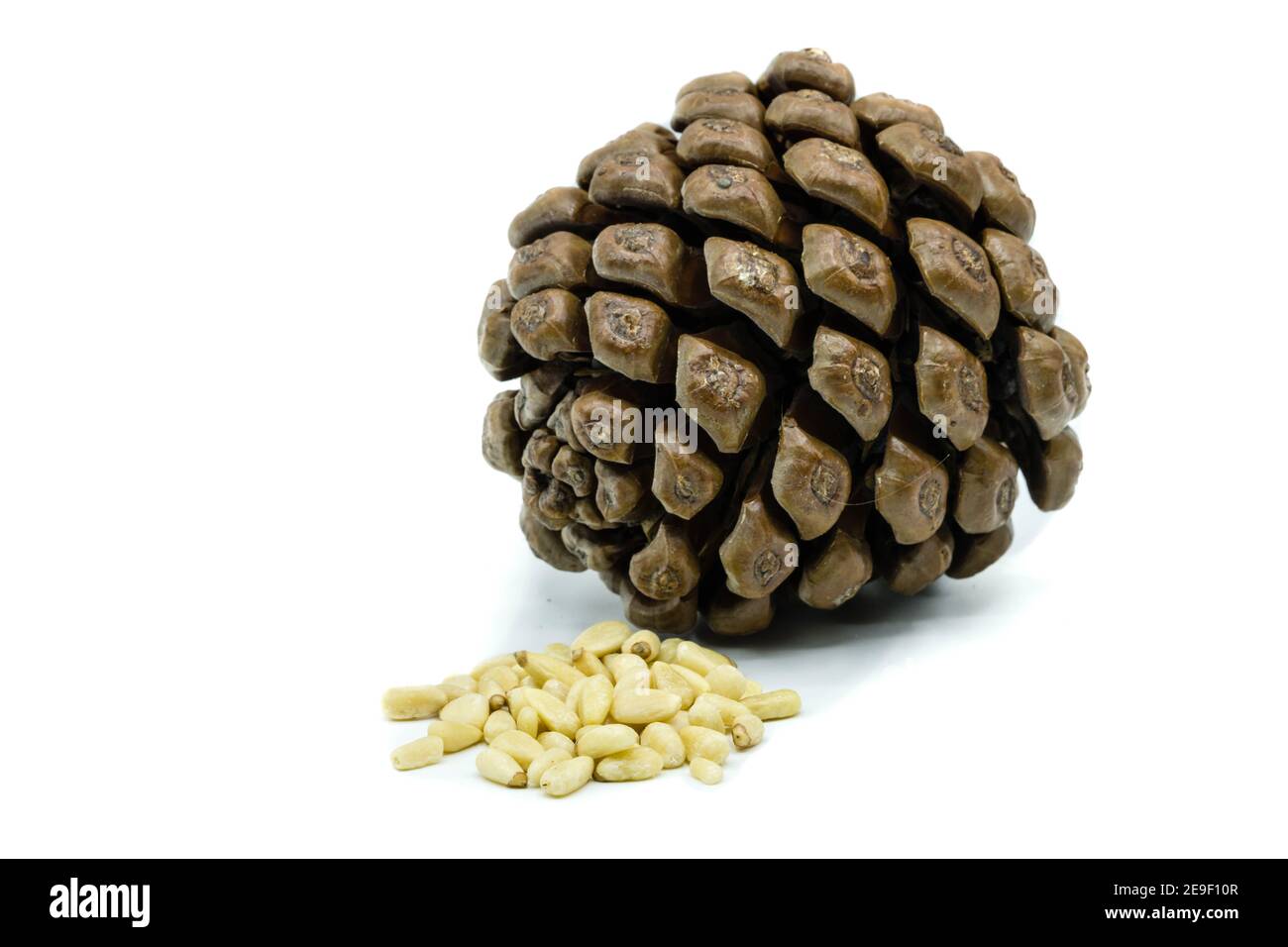Pine nuts and pine cones isolated on white background Stock Photo
