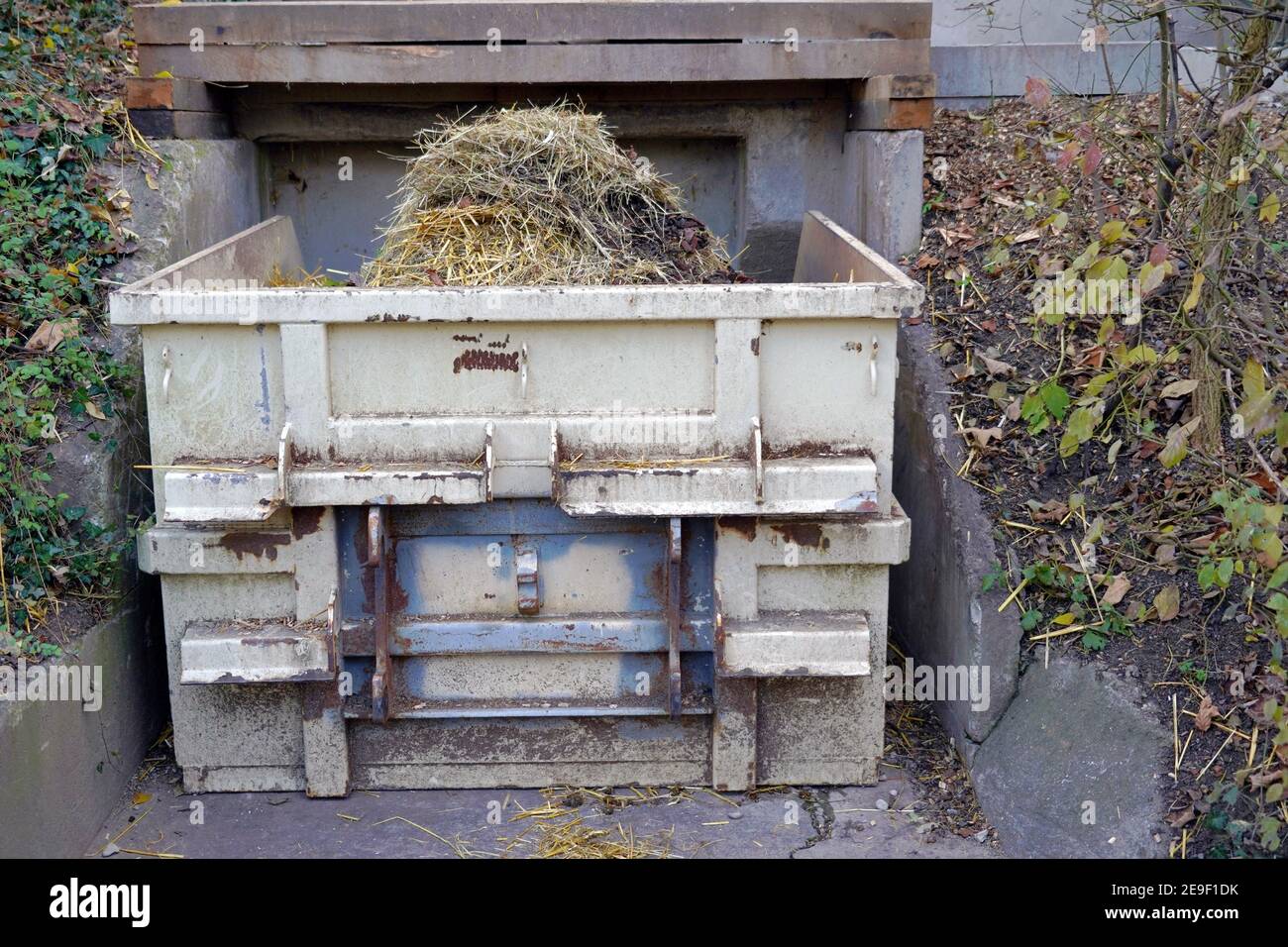 Container full of animal manure collected in a zoo. It shows the care for healthy environment and well being of animals, to keep them healthy. Stock Photo