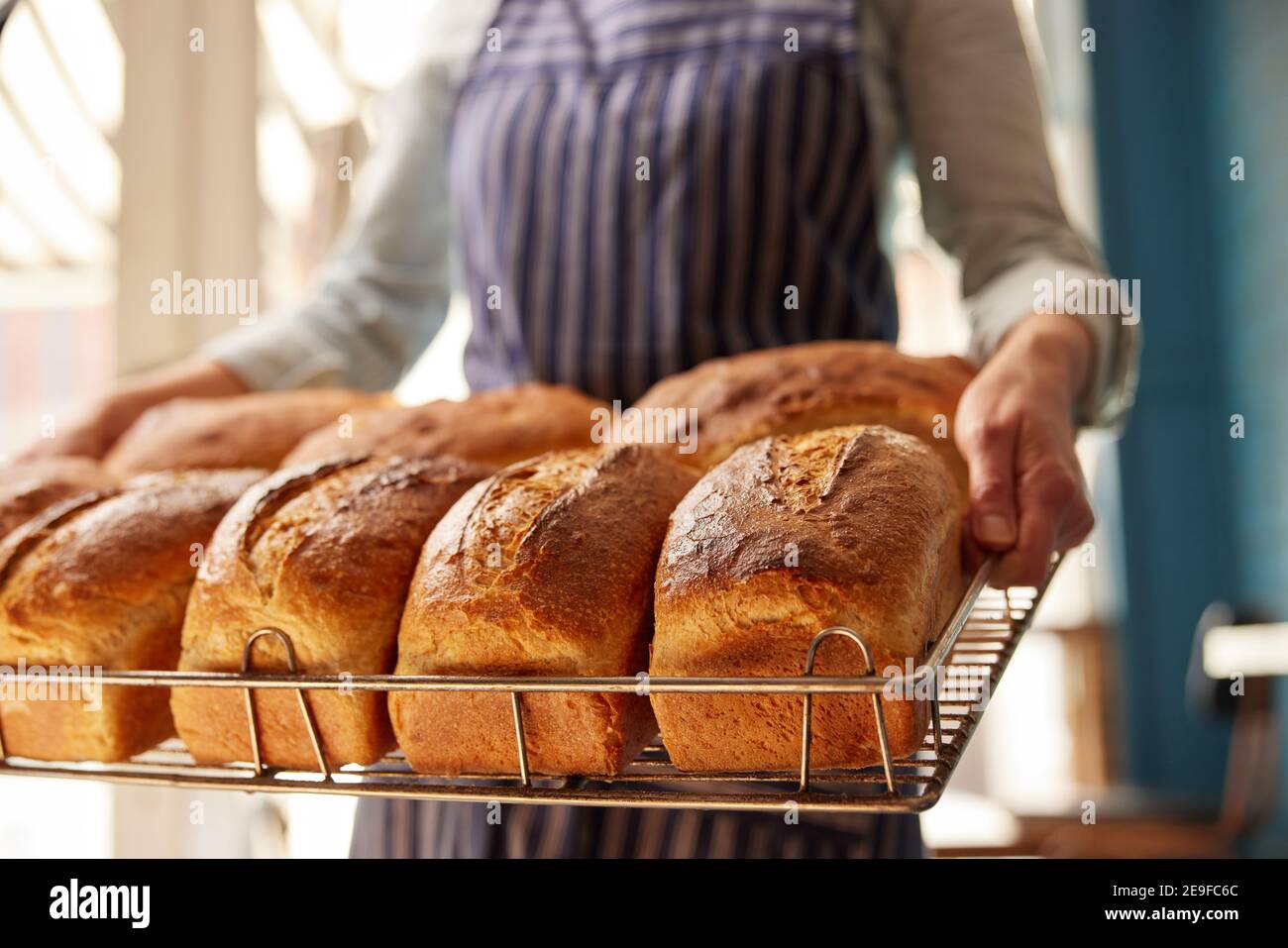 Sales Assistant In Bakery With Tray Of Freshly Baked Organic Sourdough Bread Loaves Stock Photo
