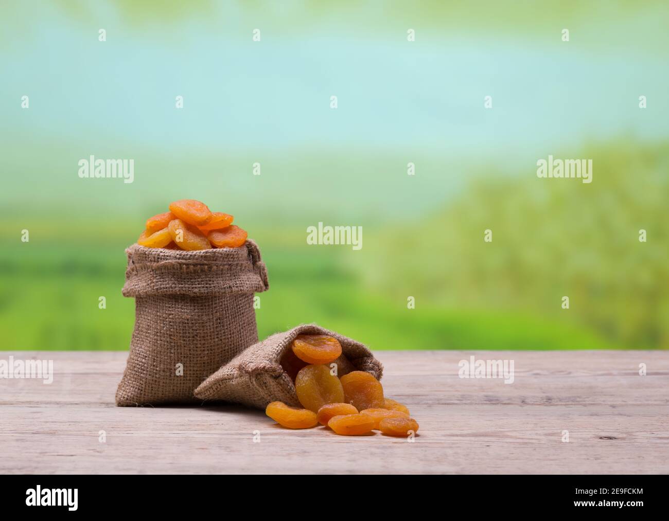 Apricots in linen sack, blurred apricot farm in the background. Apricot seeds on the table Stock Photo