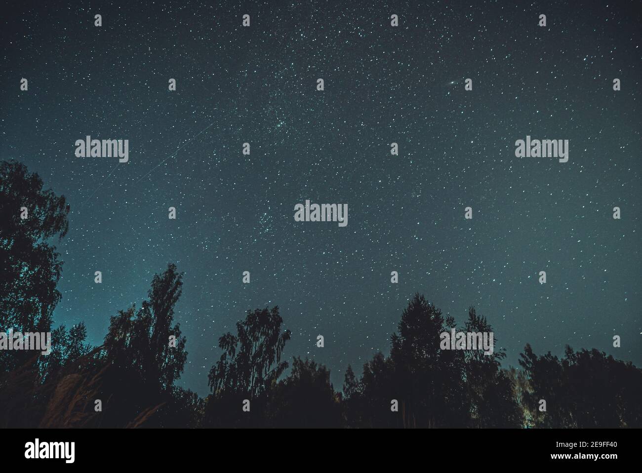 Vertical shot of a starry sky with stars and silhouettes of trees Stock ...