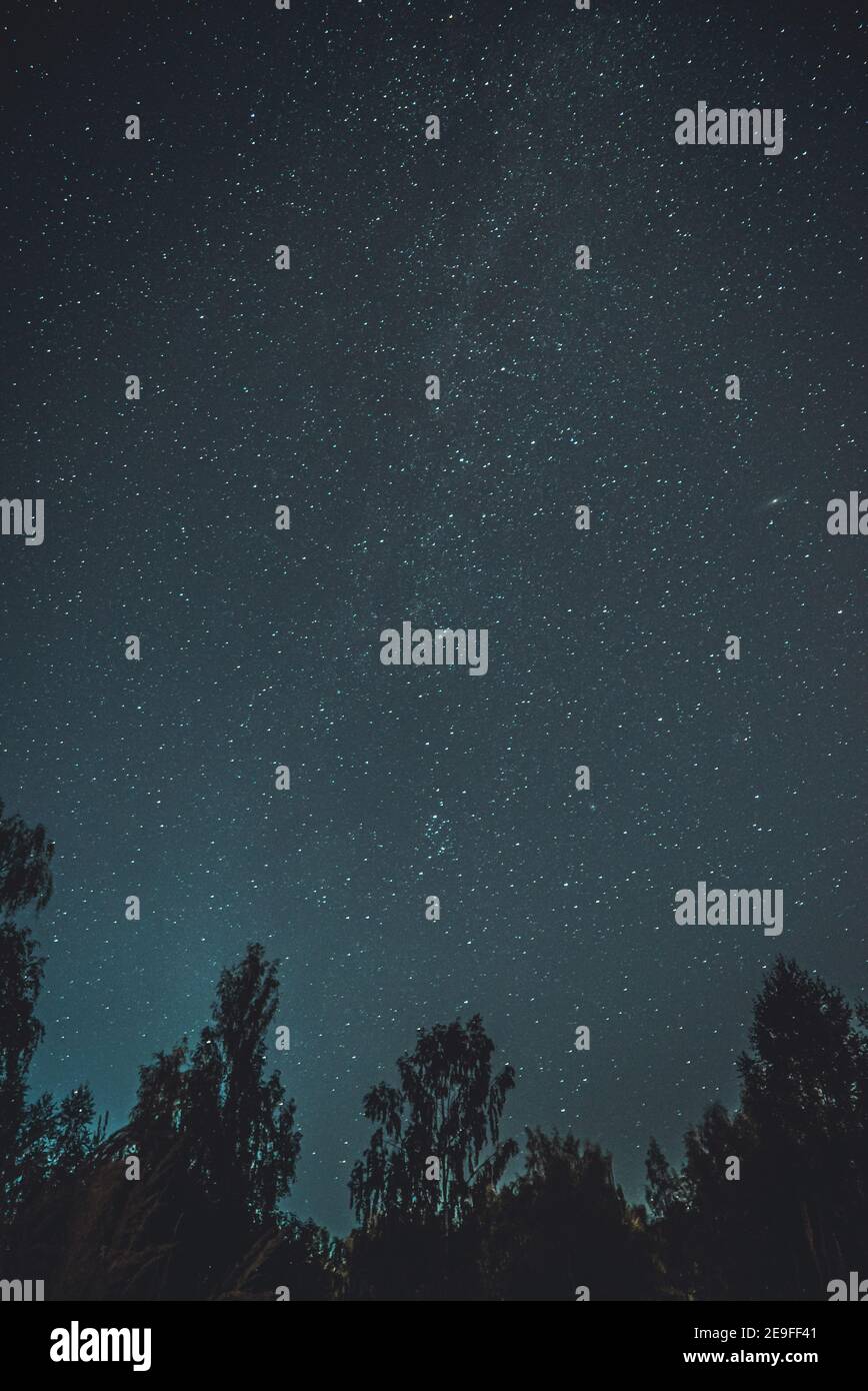 Vertical shot of a starry sky with stars and silhouettes of trees Stock ...