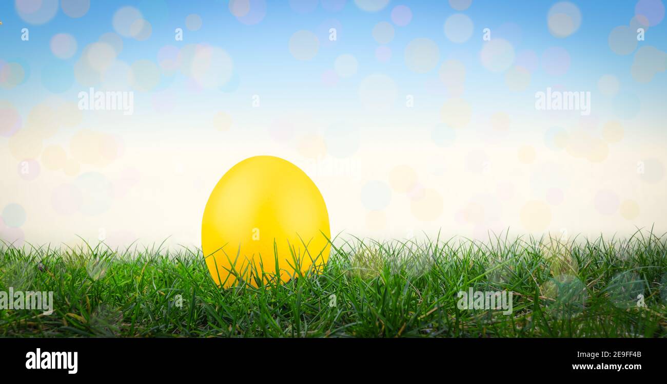 Yellow Easter egg in grass. Easter background. Stock Photo