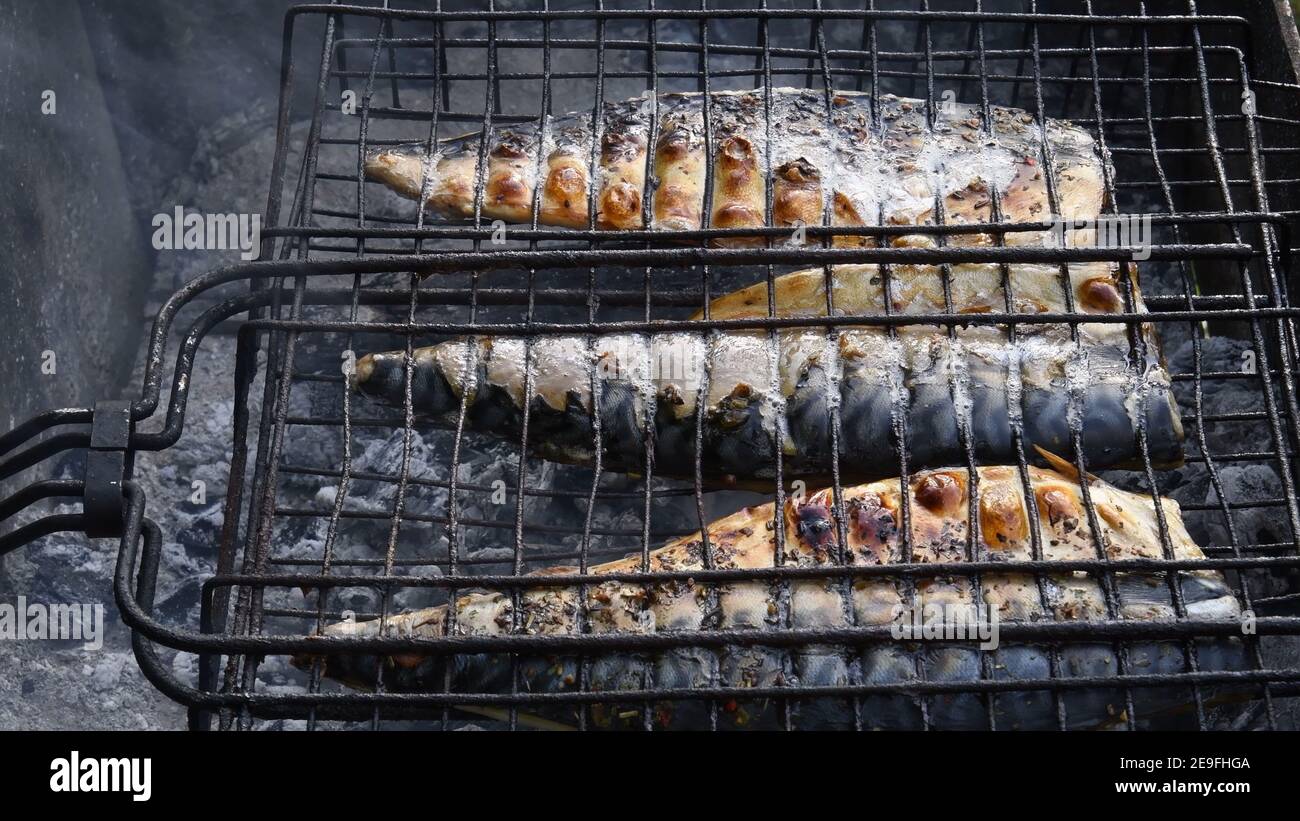 Delicious grilled mackerel fish inside grill grid on charcoal grill