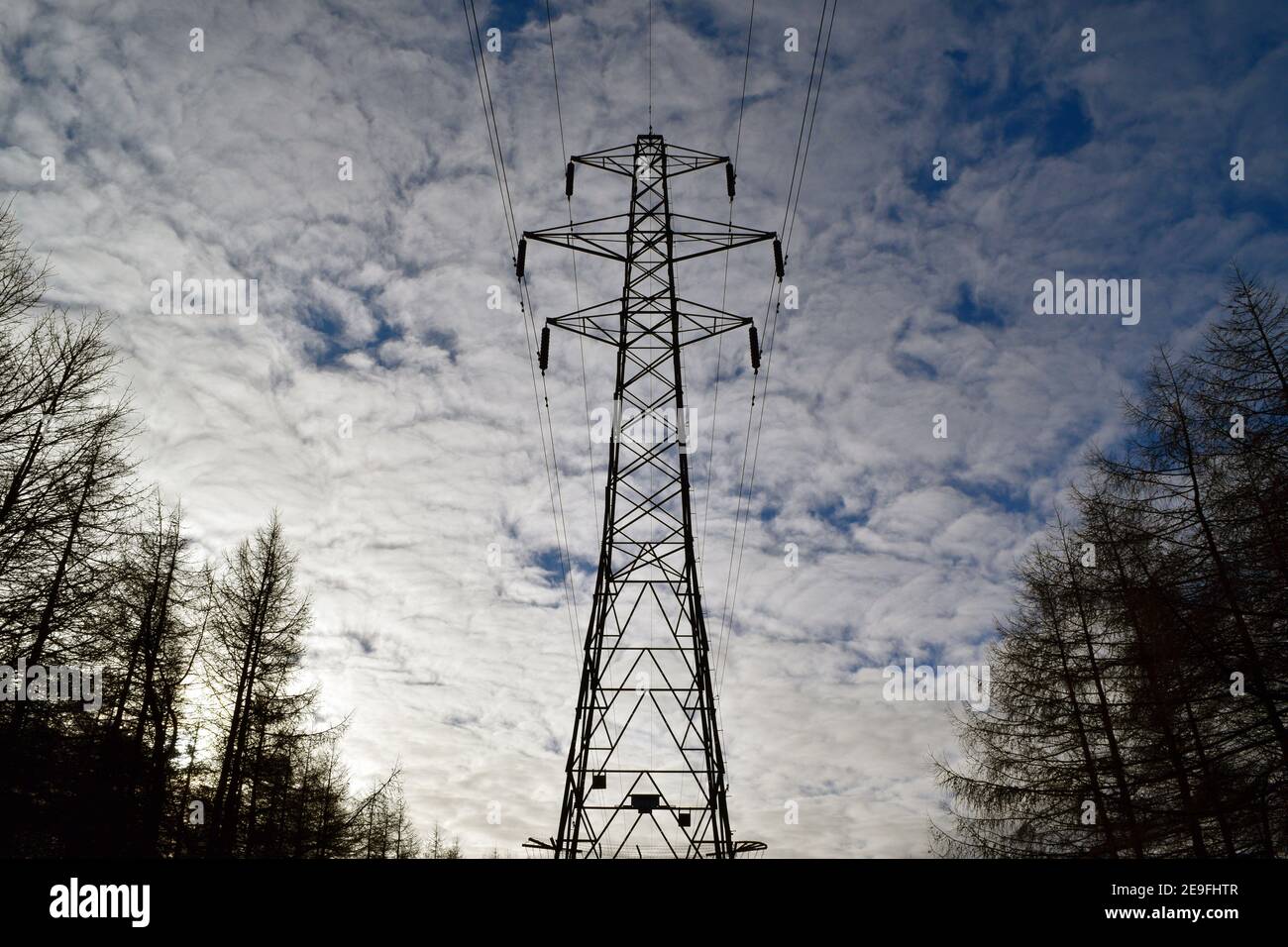 Electricity pylon against a blue sky in the woods Stock Photo - Alamy