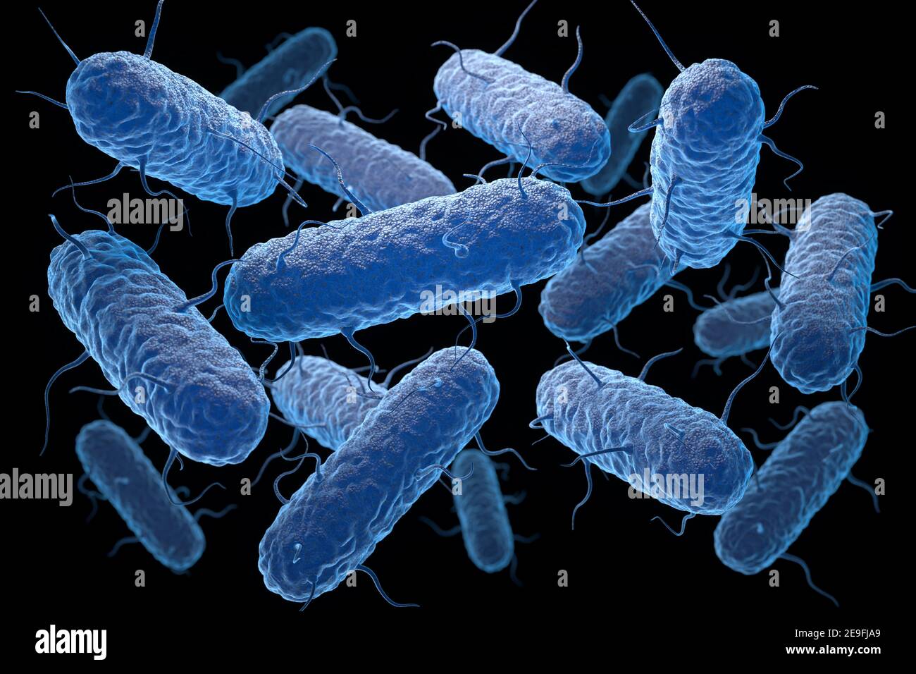 Микроорганизмы enterobacteriaceae