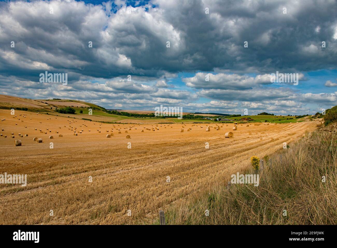 A landscape view of a field of  hay bales on  the South Downs at Clapham near Arundel, West Sussex.England. Uk Stock Photo