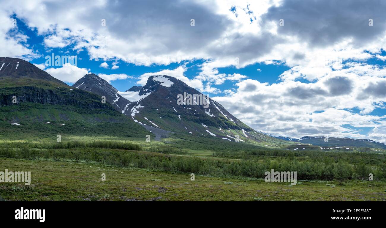 Beautiful flowerbed plains and Akka Mountain Massif in Swedish Big Lake National park North of Arctic Circle in Lapland, Sweden. Stock Photo