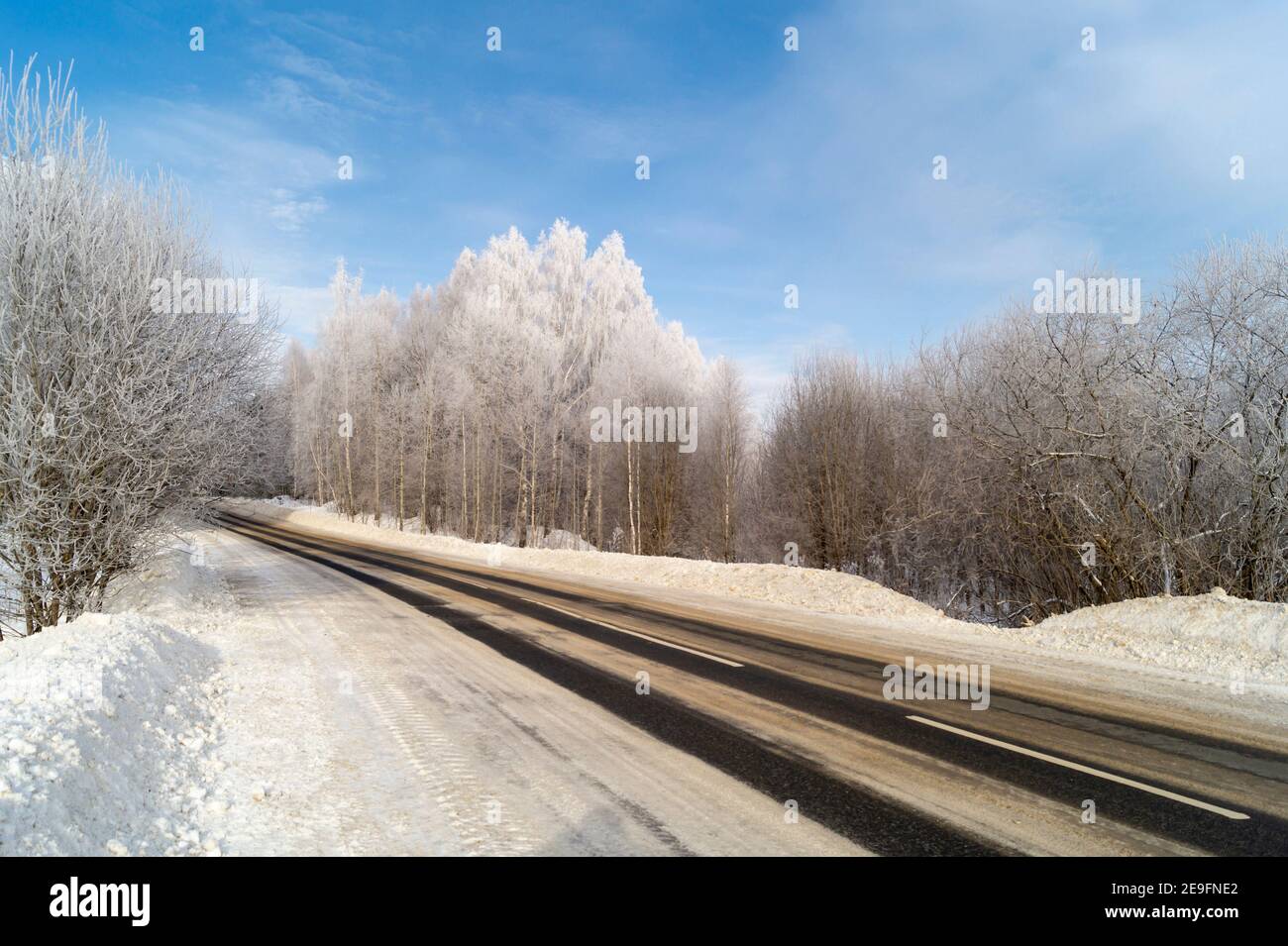 The Winter landscape with expensive in wood at solar day. Beautiful birches on background blue sky Stock Photo