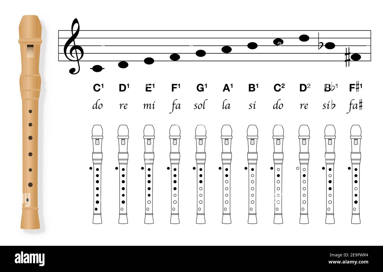 Fingering chart for recorder with black covered holes and white uncovered. Stave with corresponding basic musical notes, C major, B flat and F sharp. Stock Photo