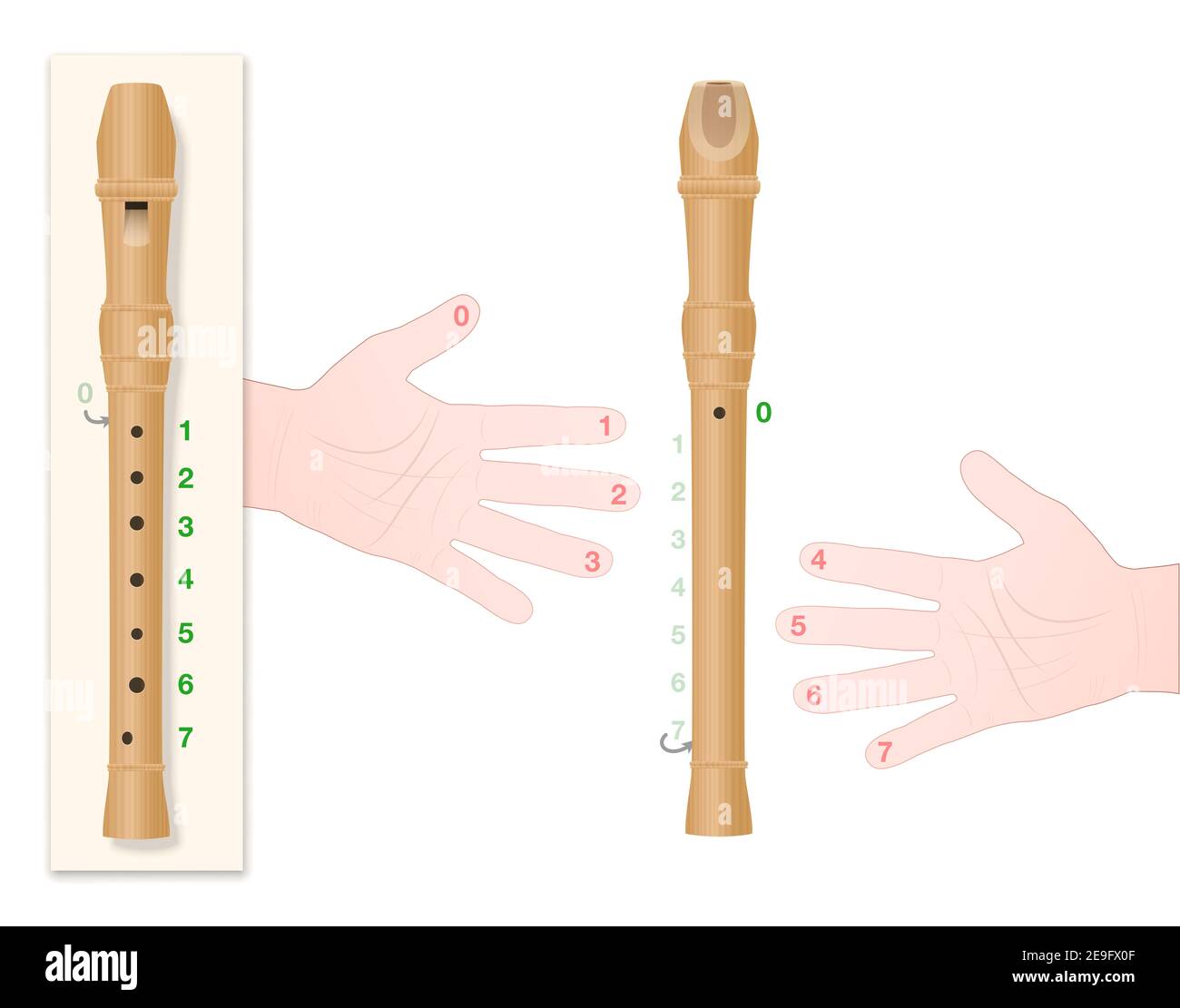 Recorder with correct hand position, numbered fingers and corresponding holes of the instrument to learn to play this music properly. Stock Photo