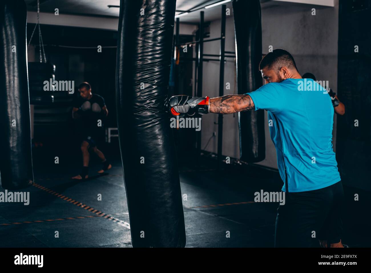 Adult boxer in boxing gloves training with boxing punching bag in a gym