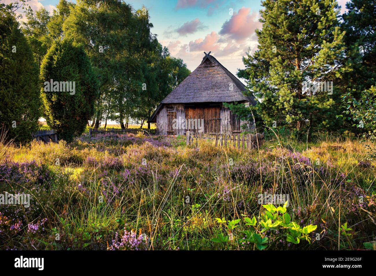 Old sheep cottage in the Luneburg heath, Germany Stock Photo