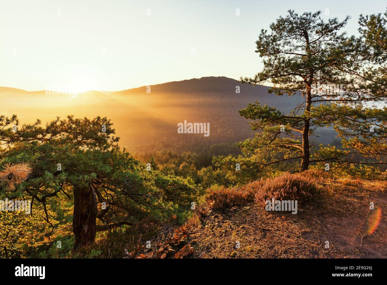 Sunrise in the Dahner Felsenland near Erfweiler Stock Photo