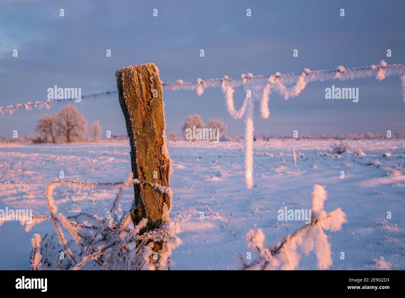Sunrise in Wiesmoor, Eastfrisa on a cold winter morning with snow and a colorful sunrise. Stock Photo