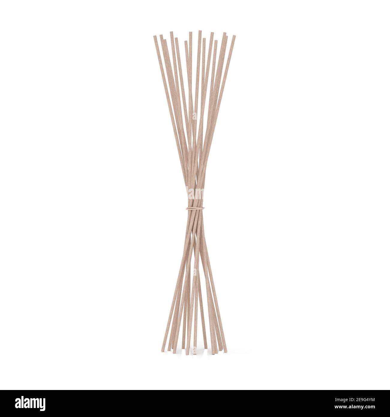 Natural sticks for fragrance diffuser - 3D render Stock Photo