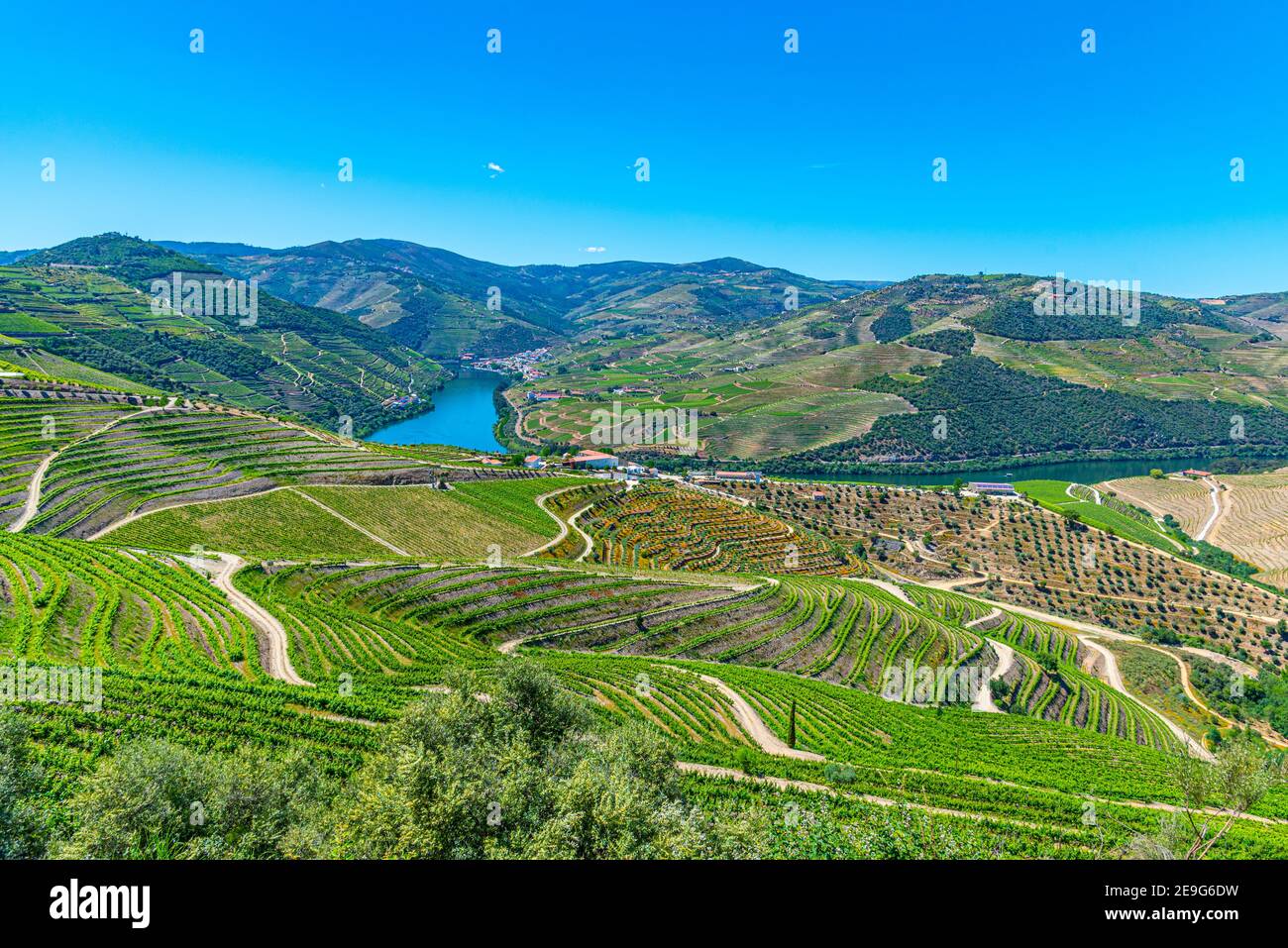 Vineyards and villages at slopes of Douro Valley in Portugal Stock