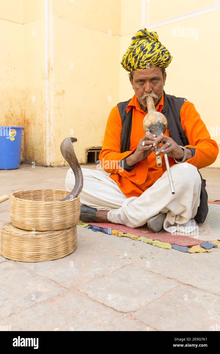 india-jaipur-snake-charmer-performing-with-cobra-stock-photo-alamy