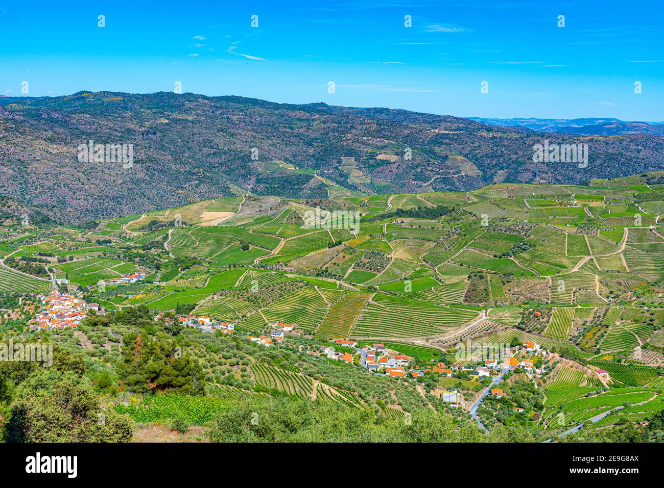 Vineyards and villages at slopes of Douro Valley in Portugal Stock