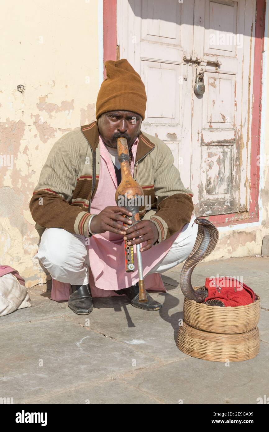 India Jaipur Snake Charmer Performing With Cobra Stock Photo Alamy