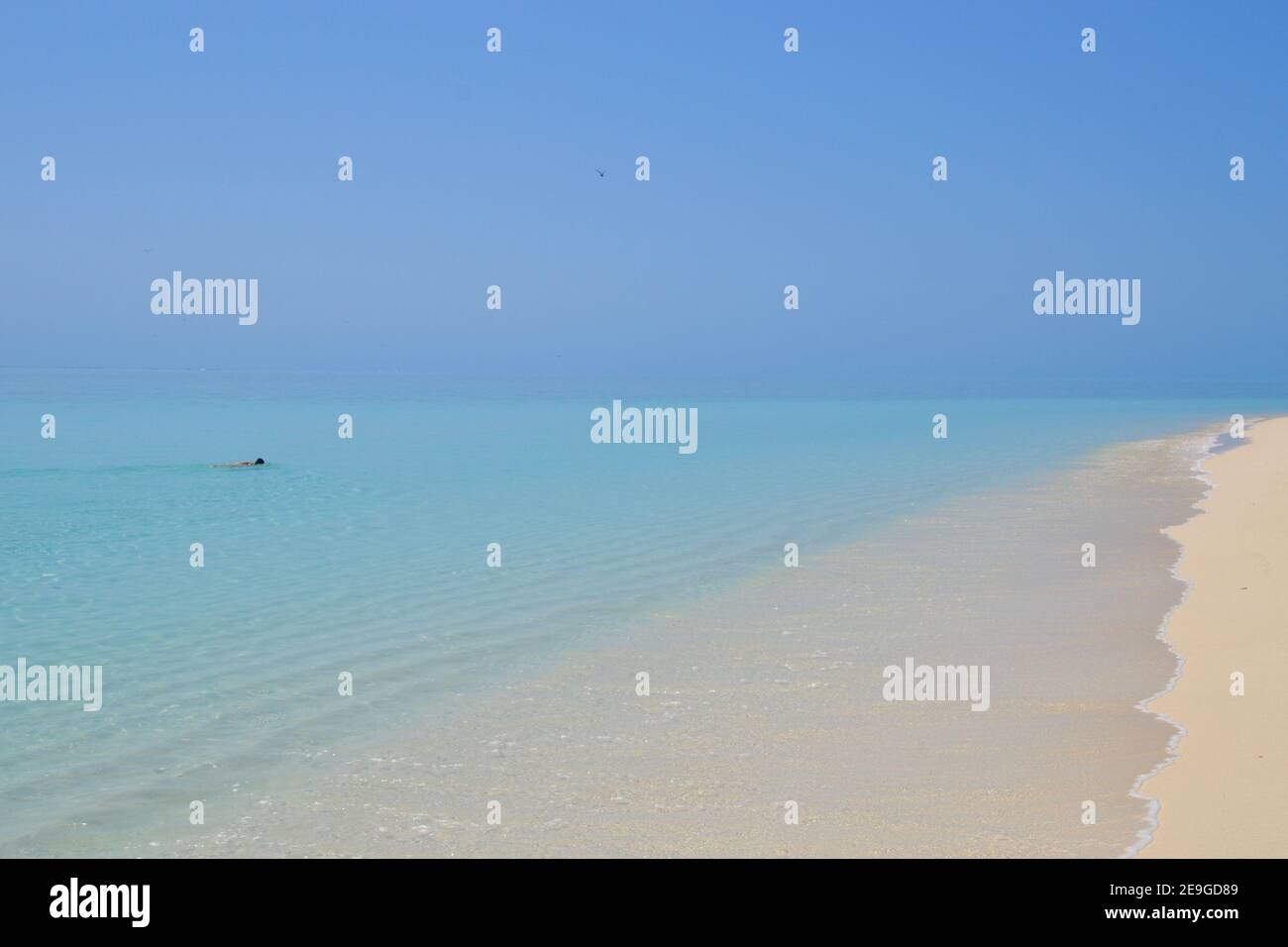 Lone swimmer in pristine clear blue water on a flat calm day on the Great Barrier Reef at Heron Island in Australia Stock Photo